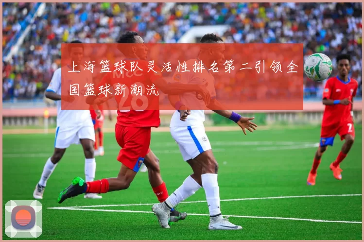 上海篮球队灵活性排名第二引领全国篮球新潮流
