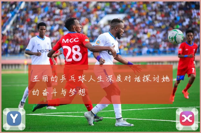 王丽的乒乓球人生深度对话探讨她的奋斗与梦想