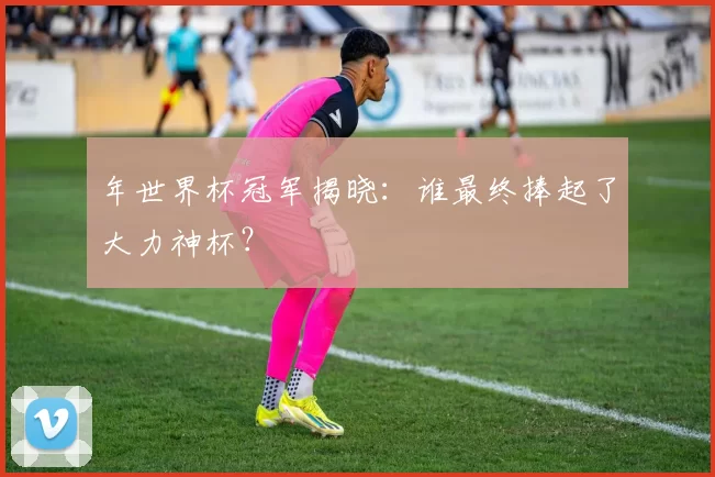 年世界杯冠军揭晓：谁最终捧起了大力神杯？