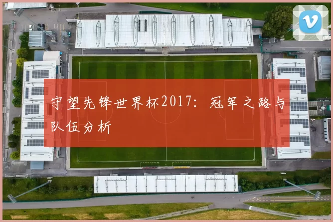 守望先锋世界杯2017：冠军之路与队伍分析