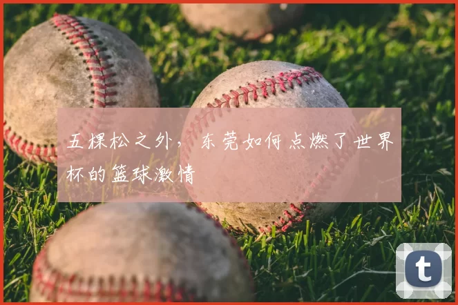 五棵松之外,东莞如何点燃了世界杯的篮球激情