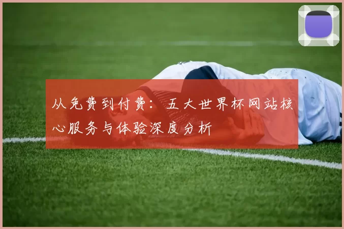 从免费到付费：五大世界杯网站核心服务与体验深度分析
