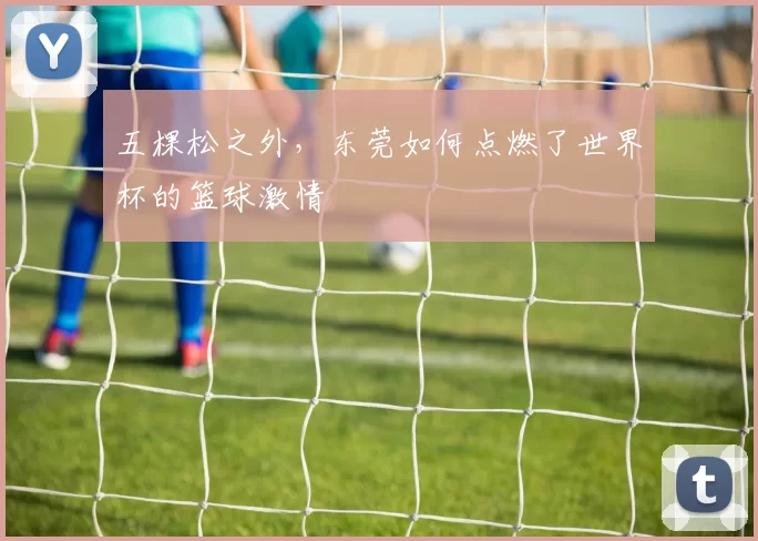 五棵松之外，东莞如何点燃了世界杯的篮球激情