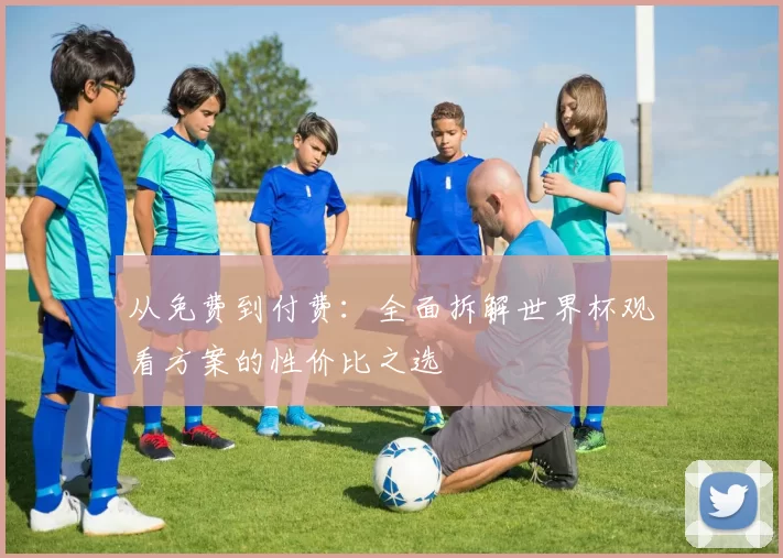 从免费到付费:全面拆解世界杯观看方案的性价比之选
