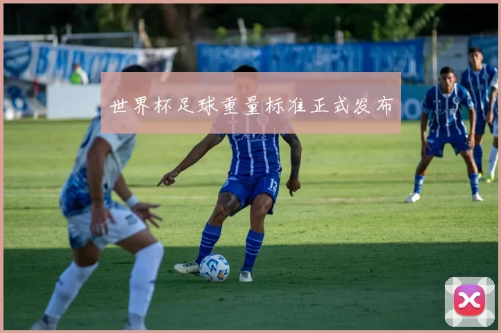 世界杯足球重量标准正式发布