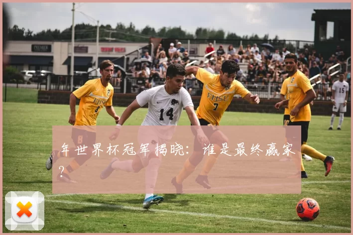 年世界杯冠军揭晓：谁是最终赢家？