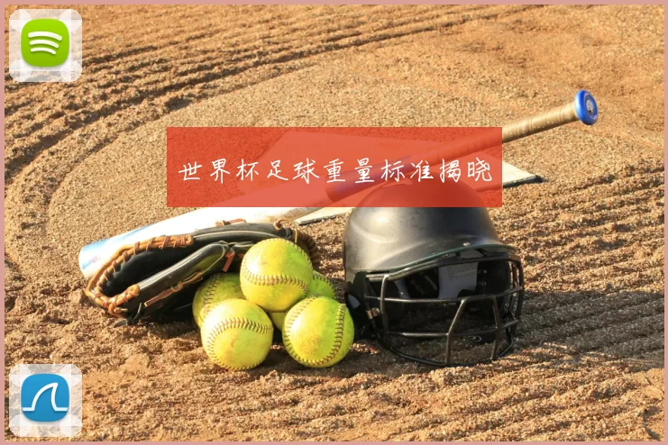 世界杯足球重量标准揭晓